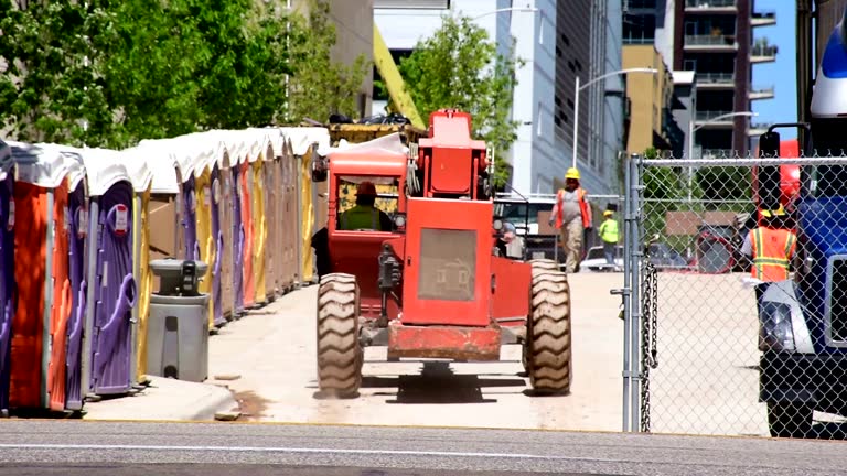 Best Tree Removal  in Mesquite, NV